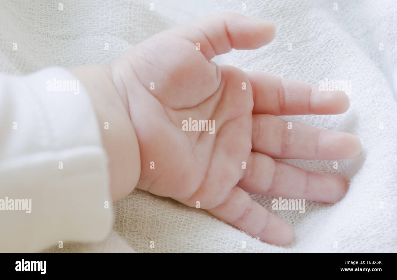 Cute Baby Hand Stock Photo Alamy