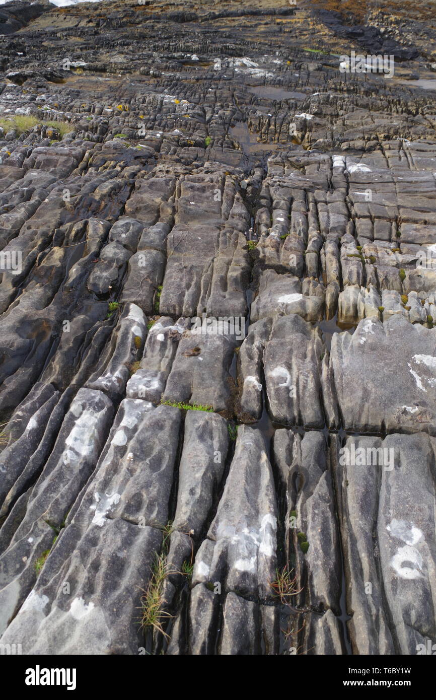 Brittle Joints in Limestone on the Wave Cut Platform at Elgol. Isle of