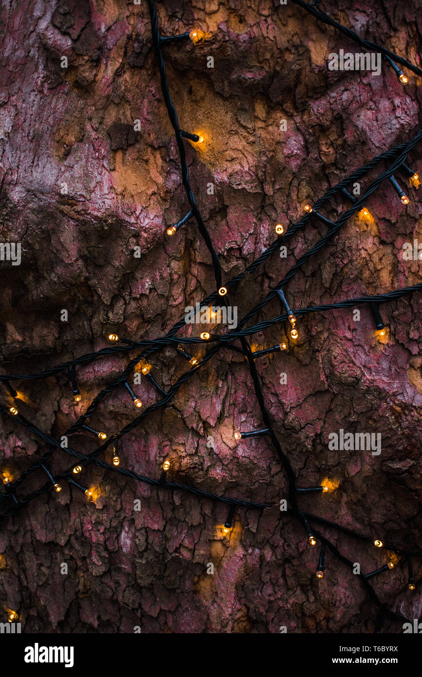 A bunch of lights on the tree Stock Photo Alamy