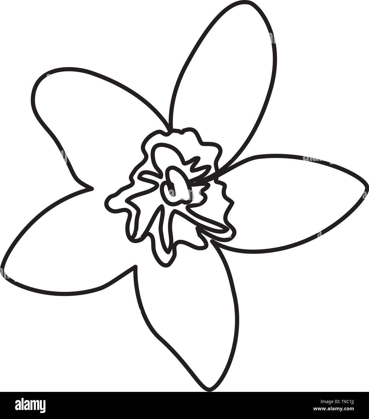 exotic tropical flower icon Stock Vector Image & Art - Alamy