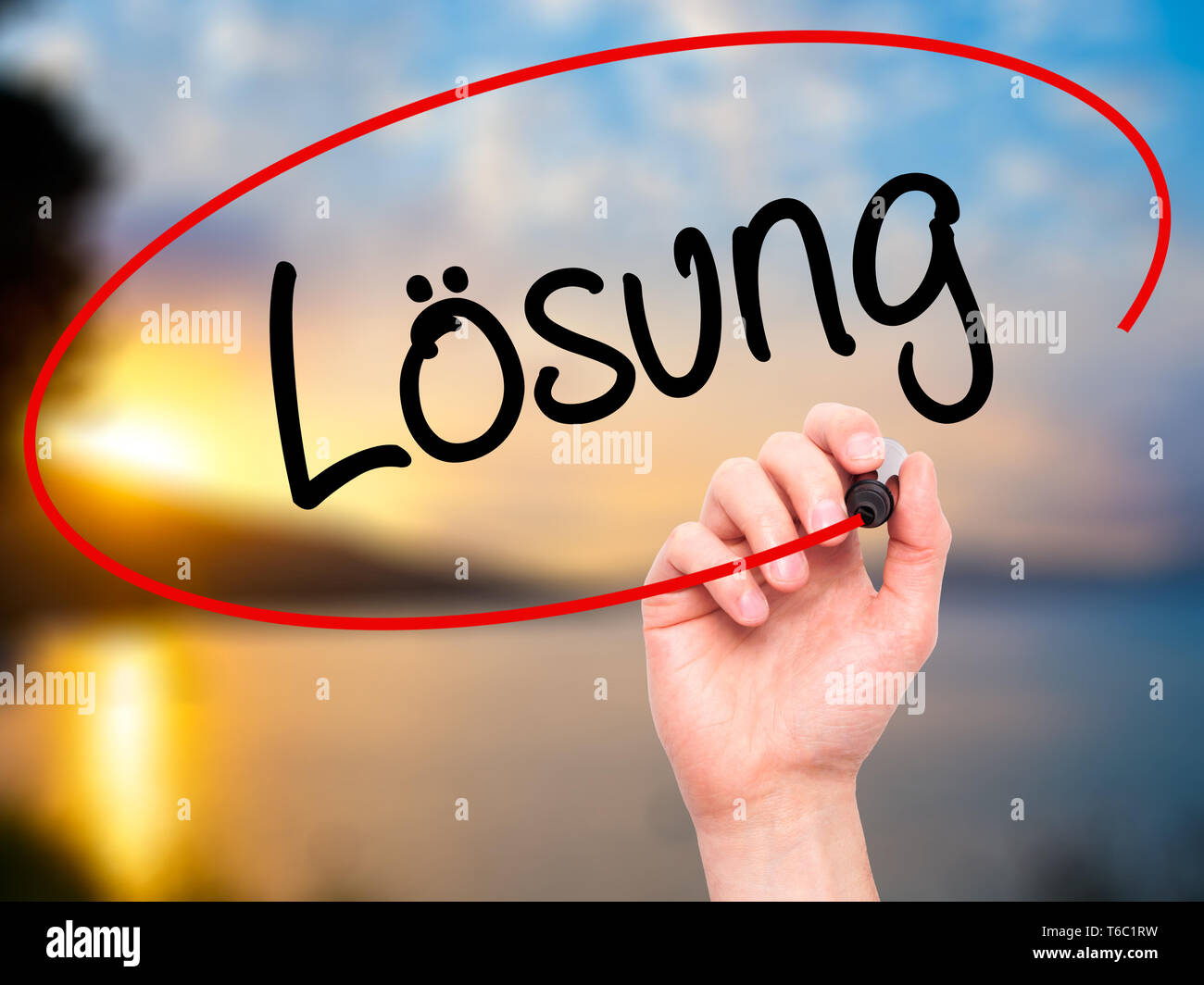 Man Hand writing Losung (Solution in German) with black marker on visual screen. Stock Photo