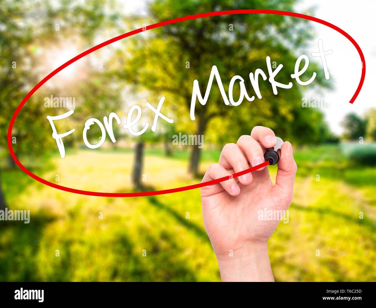 Man Hand Writing Forex Market With Black Marker On Visual Screen - 