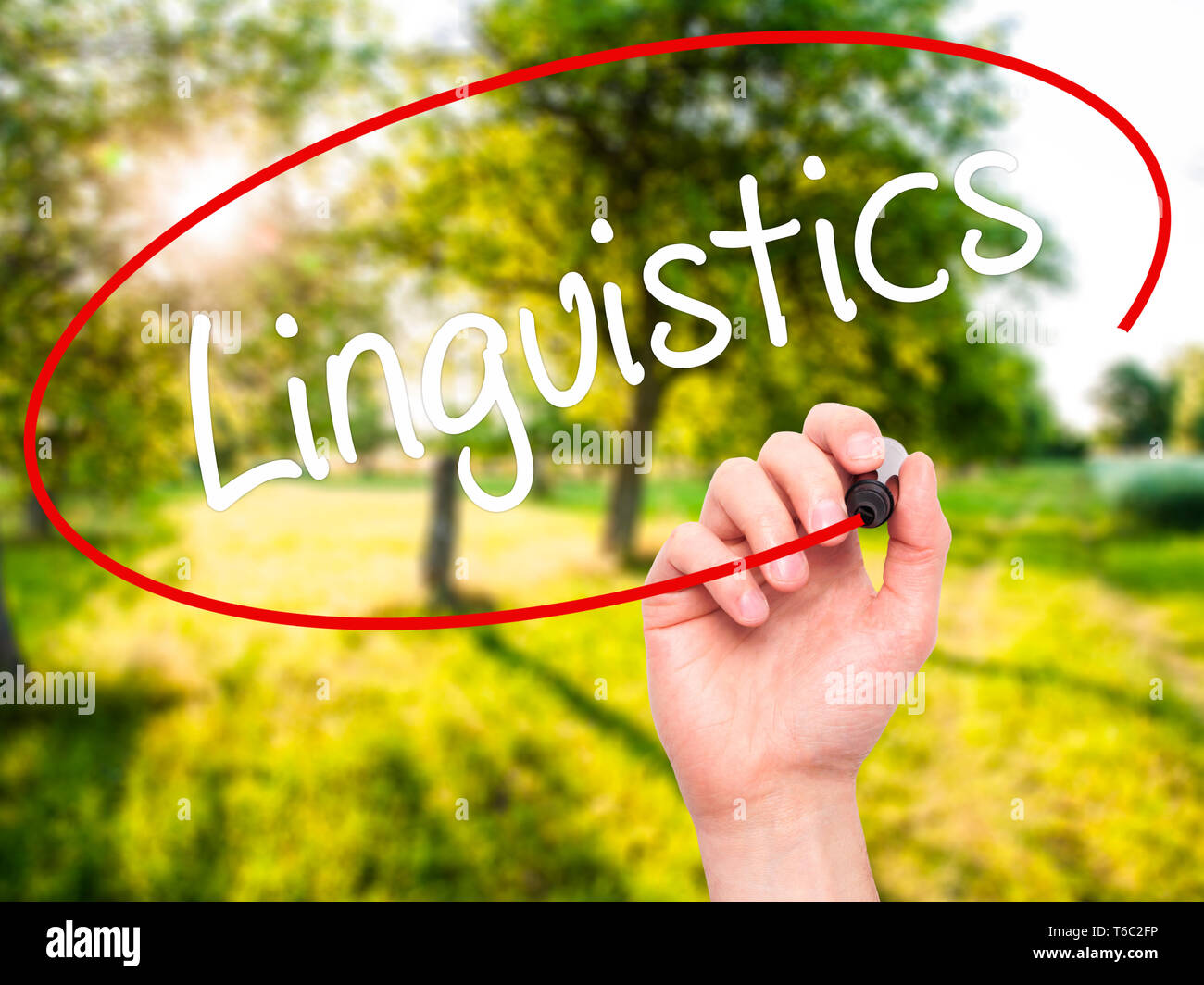 Man Hand writing Linguistics  with black marker on visual screen Stock Photo