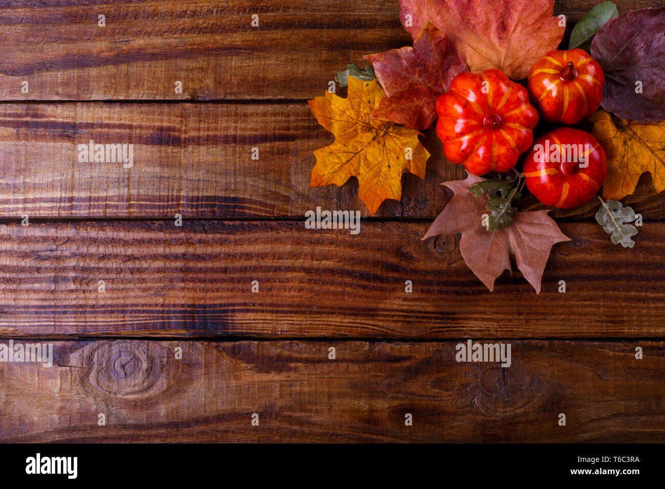 Autumn festive background Stock Photo