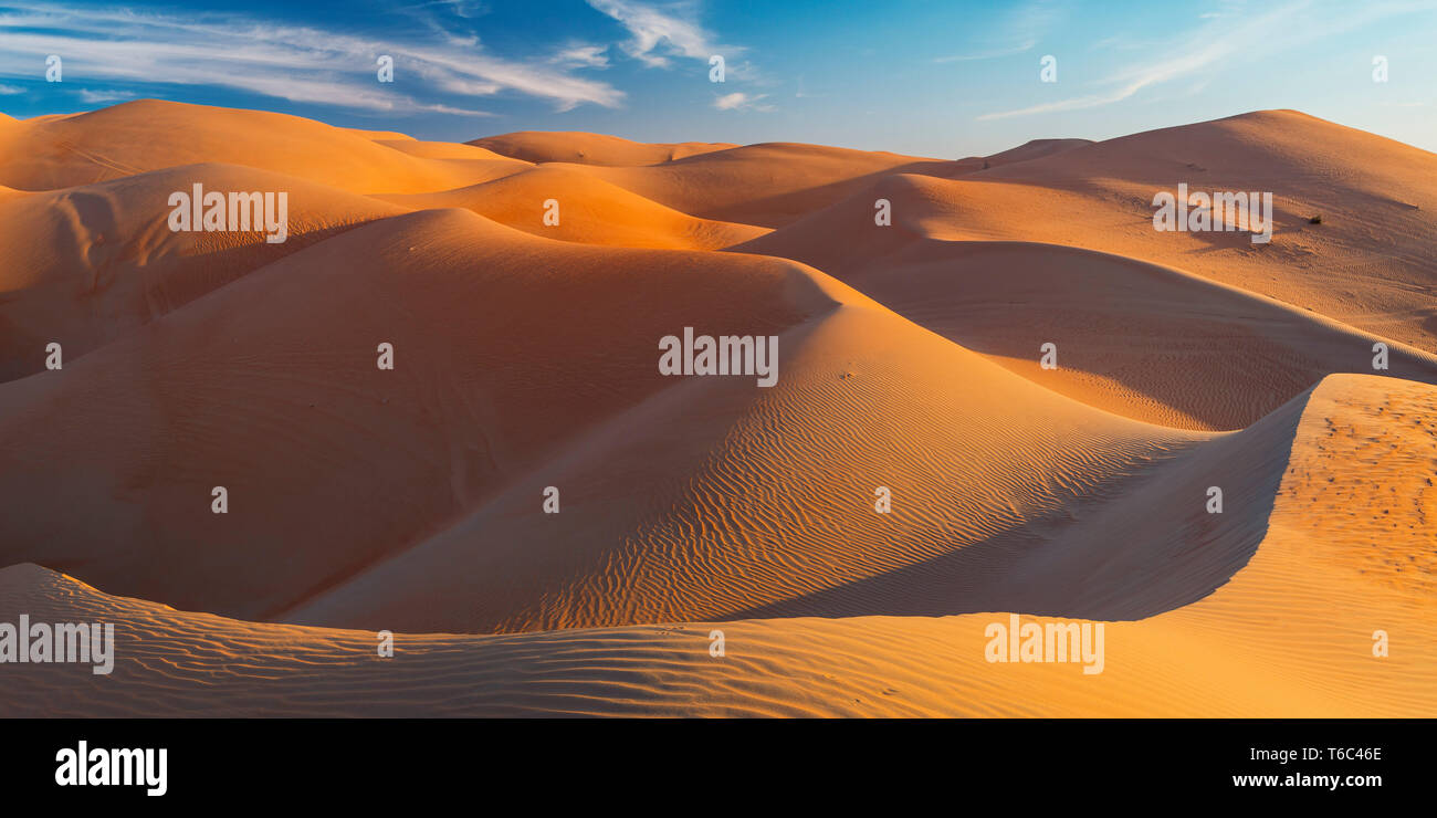 UAE, Abu Dhabi Province, Liwa Oasis, Rub Al Khali desert (Empty Quarter) Stock Photo