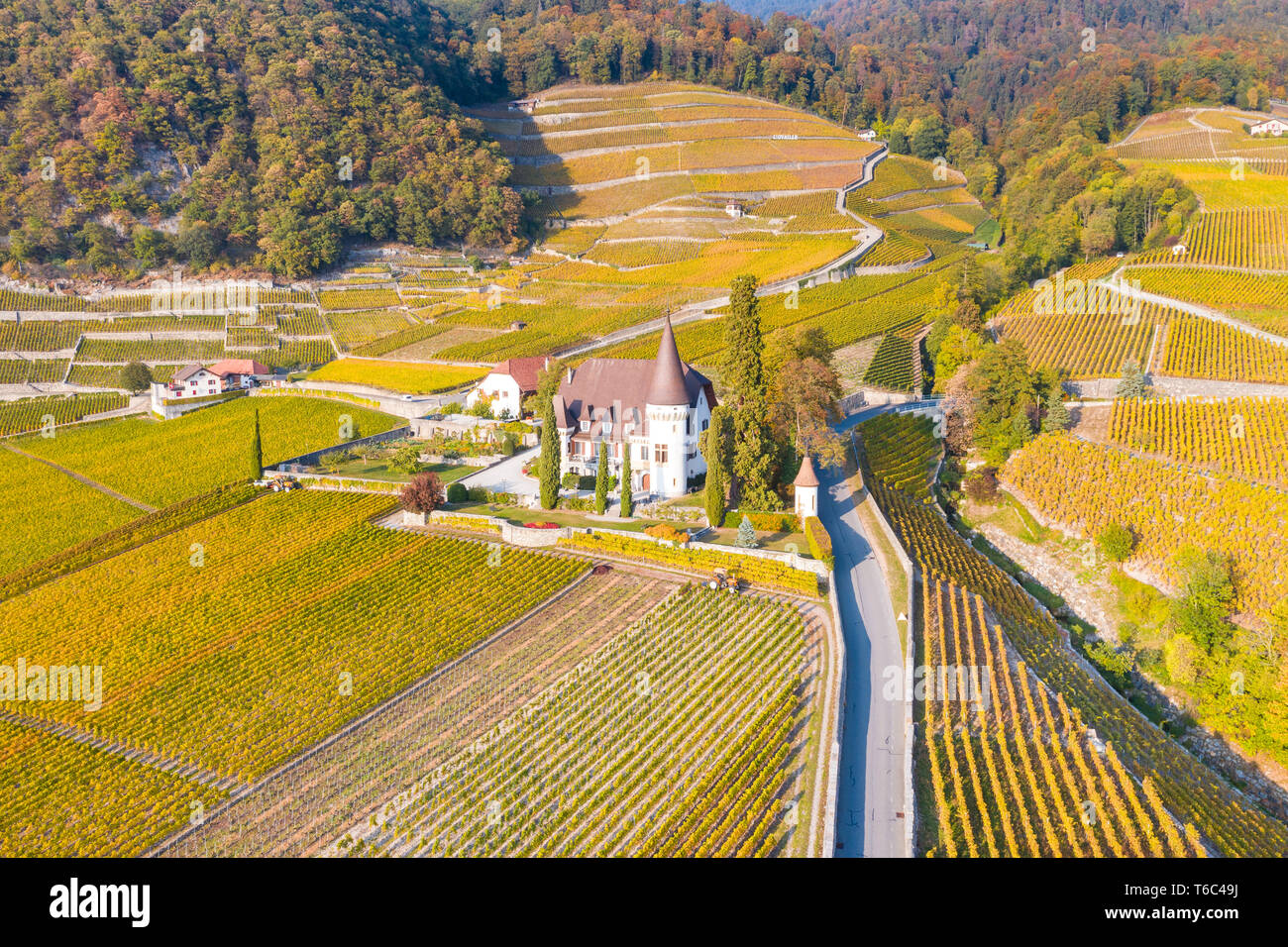 Chateau Maison Blanche, Yvorne, Canton of Vaud, Switzerland Stock Photo