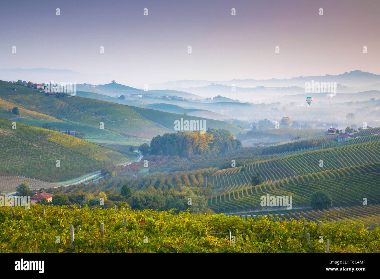 Italy, Piedmont (Piemonte), Cuneo District, Langhe, hot air balloons fly over valley at sunrise Stock Photo
