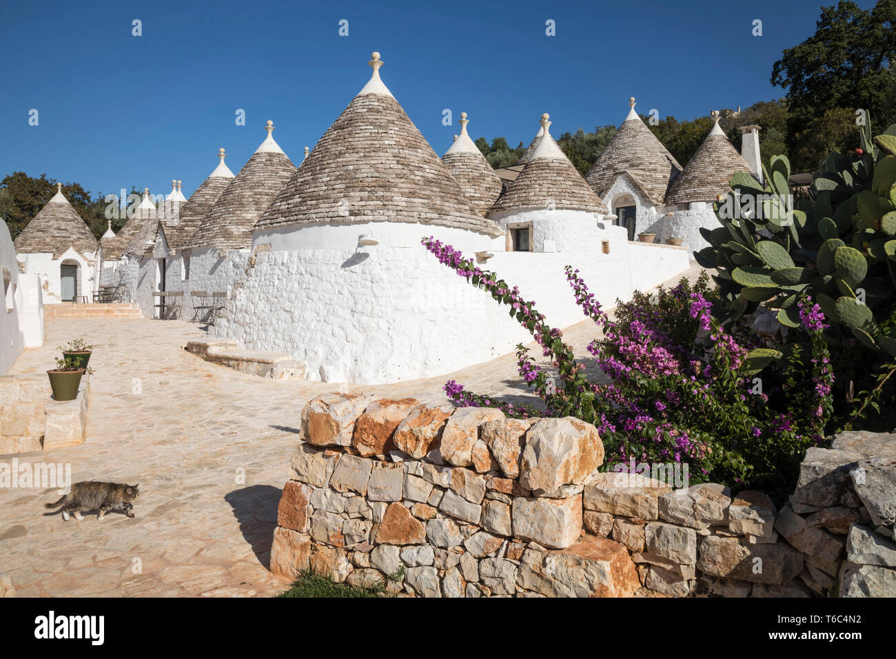 Italy, Apulia (Puglia), Bari district, Itria Valley, traditional trulli at Borgo Canonica hotel Stock Photo