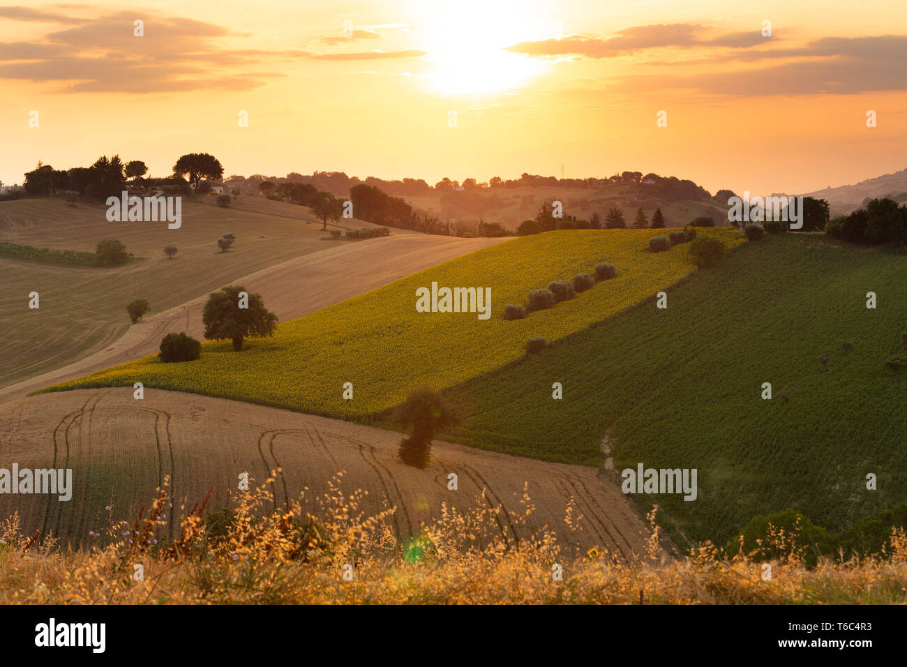 Italy, Marche. Macerata district. Corridonia. Typical Marche landscape near Corridonia Village. Stock Photo