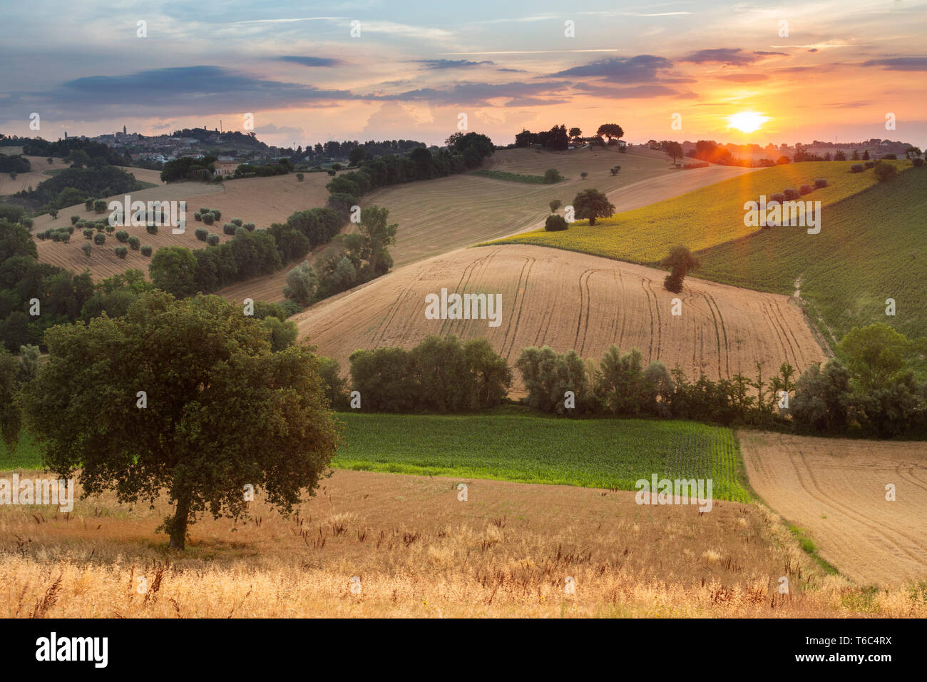 Italy, Marche. Macerata district. Corridonia. Typical Marche landscape near Corridonia Village. Stock Photo