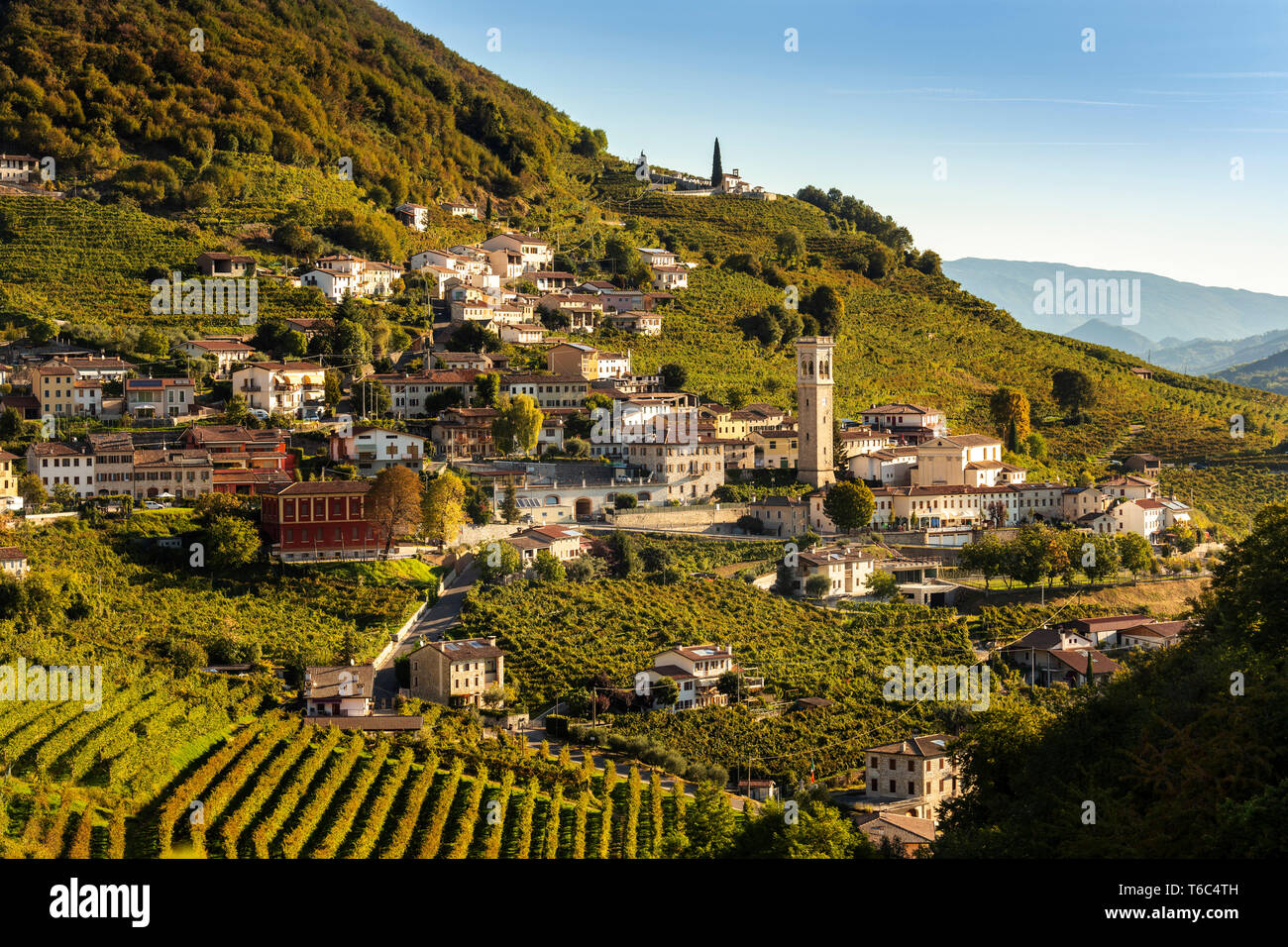 Italy, Veneto. Prosecco Road. Treviso district. Follo, vineyards