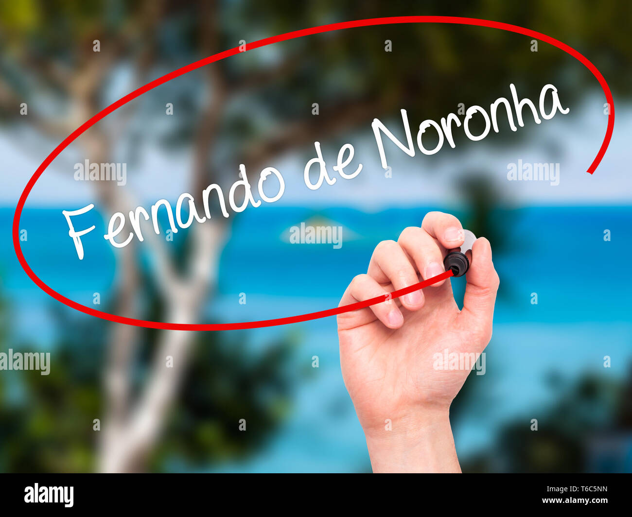 Man Hand writing Fernando de Noronha with black marker on visual screen Stock Photo