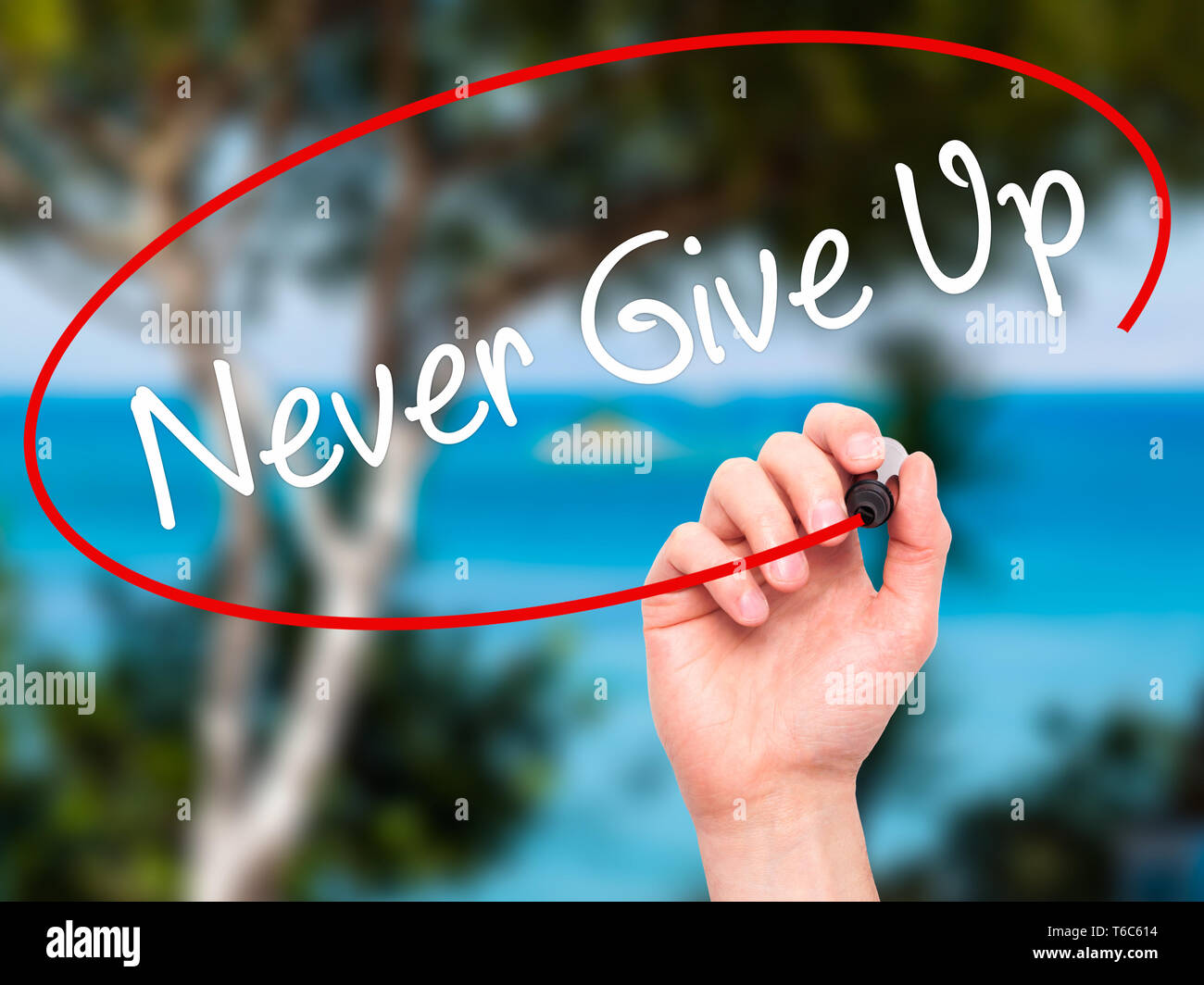 Man Hand writing Never Give Up with black marker on visual screen Stock Photo
