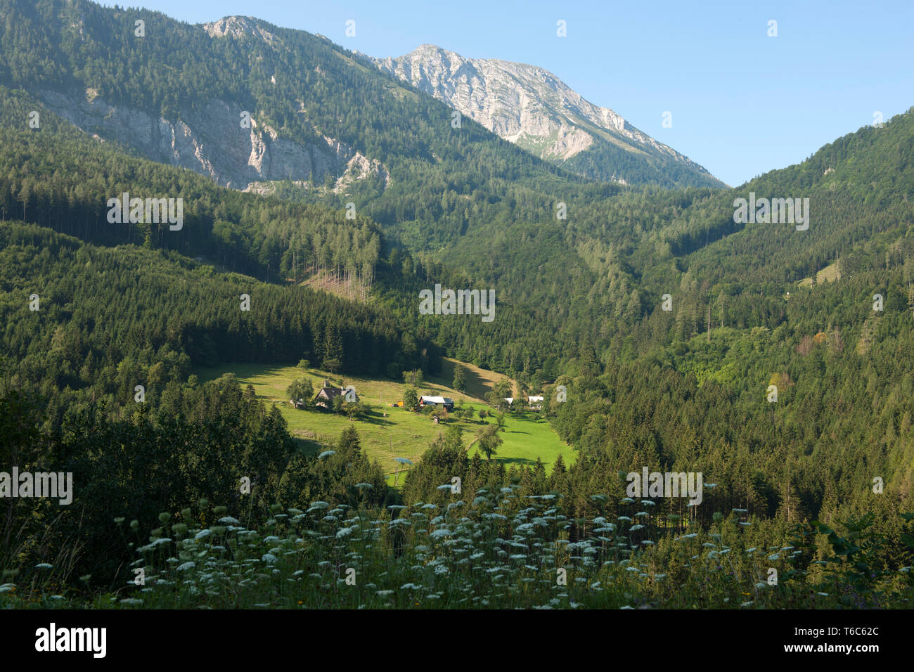 Österreich, Niederösterreich, Ötscherland, Blick von der Panoramastrasse (Puchenstuben - Trübenbach) zum Ötscher Stock Photo