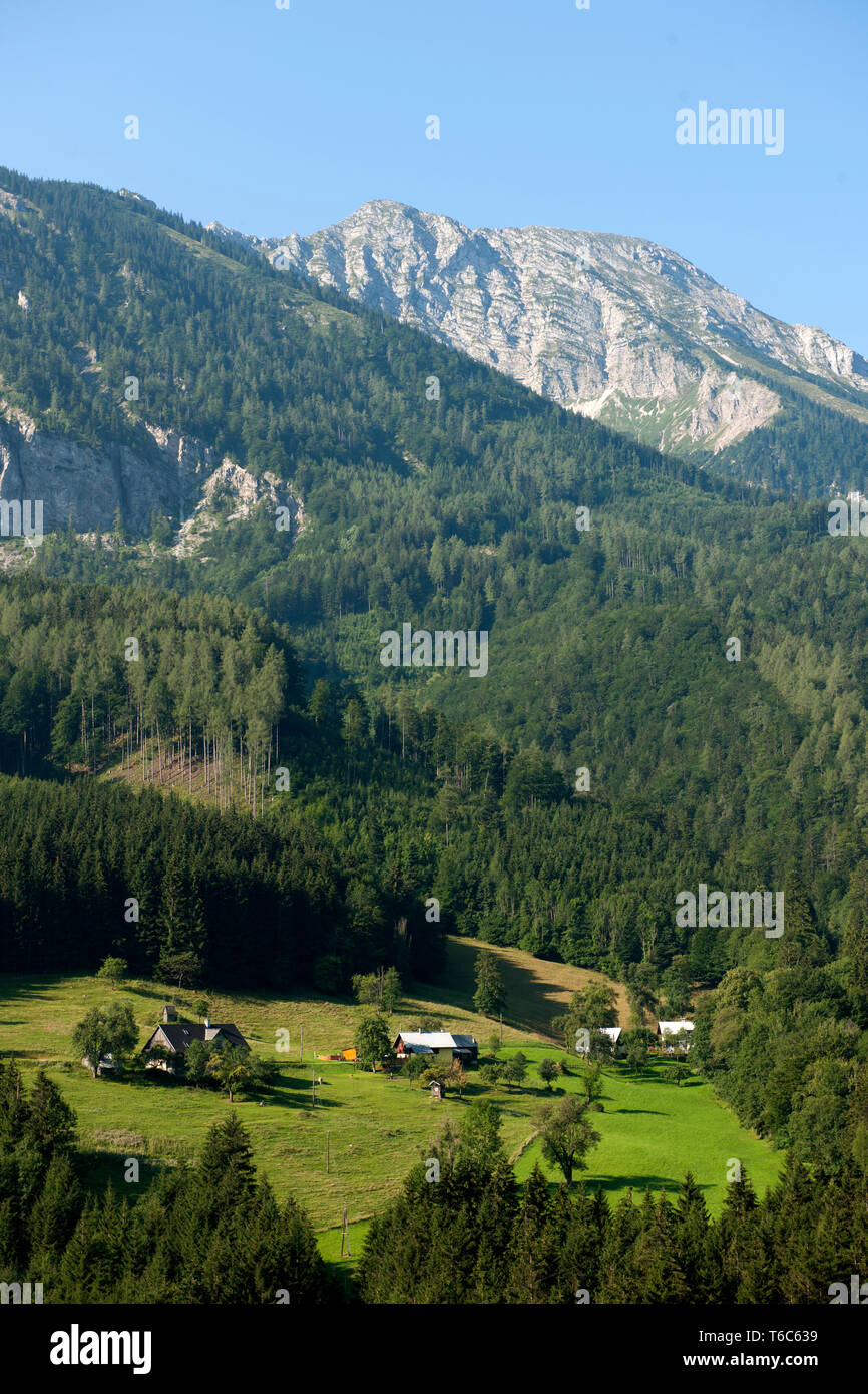 Österreich, Niederösterreich, Ötscherland, Blick von der Panoramastrasse (Puchenstuben - Trübenbach) zum Ötscher Stock Photo