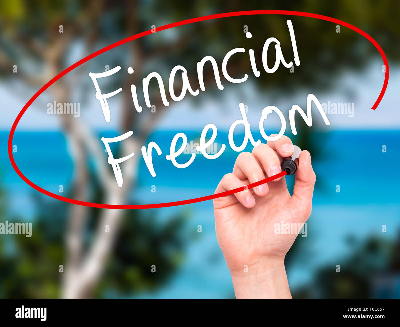 Man Hand writing Financial Freedom with black marker on visual screen ...