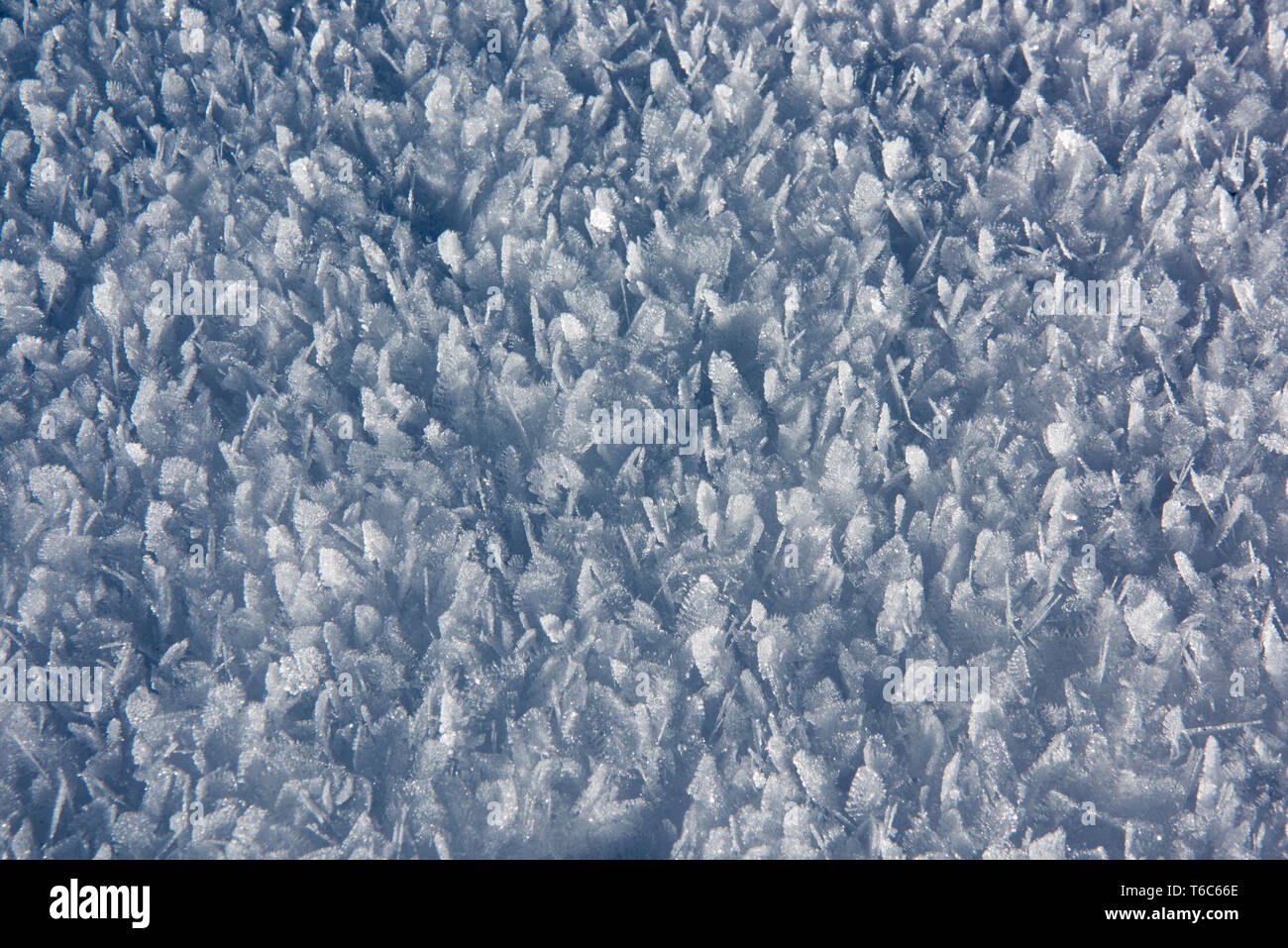 Österreich, Niederösterreich, Lackenhof am Ötscher, Schneekristalle Stock Photo