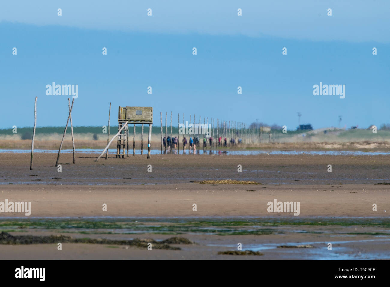 Pilgrims crossing Lindisfarne Causeway Stock Photo