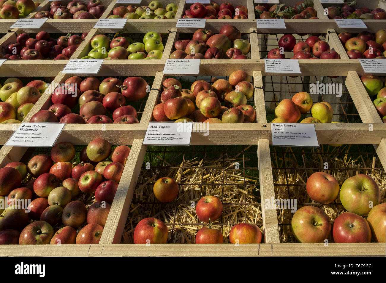apple varieties Stock Photo
