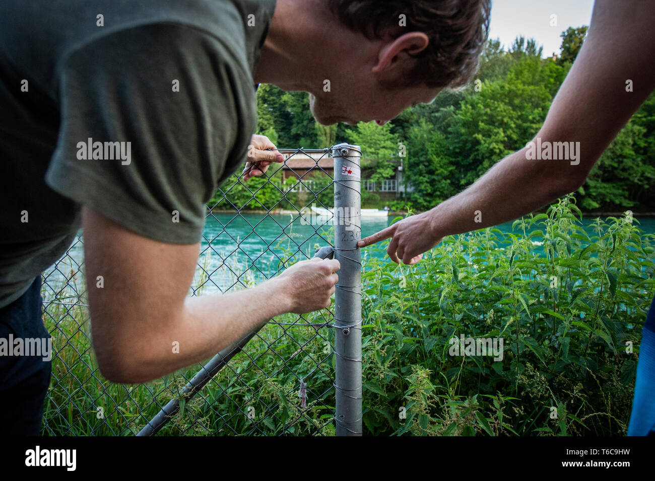 Bungee surfing in the river Aare Stock Photo Alamy