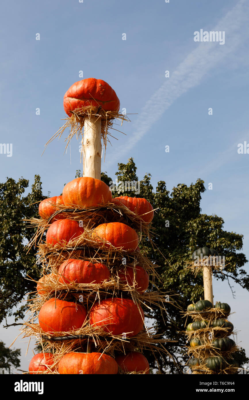 Ripe autumn pumpkins arranged on totem in farm Stock Photo - Alamy