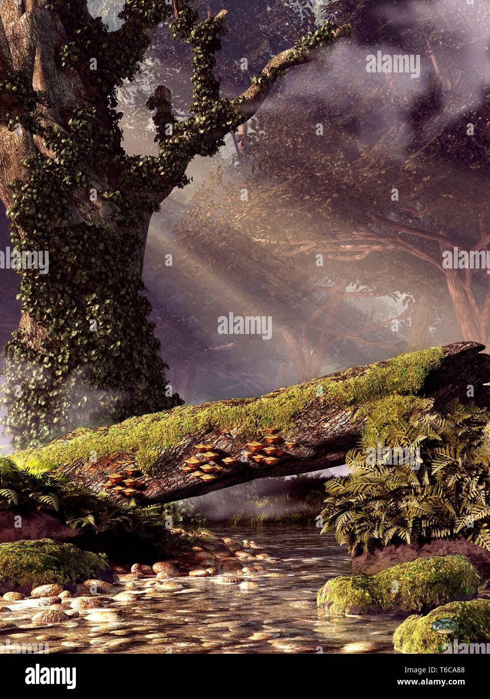 A tree has fallen across a small forest stream creating a natural ...