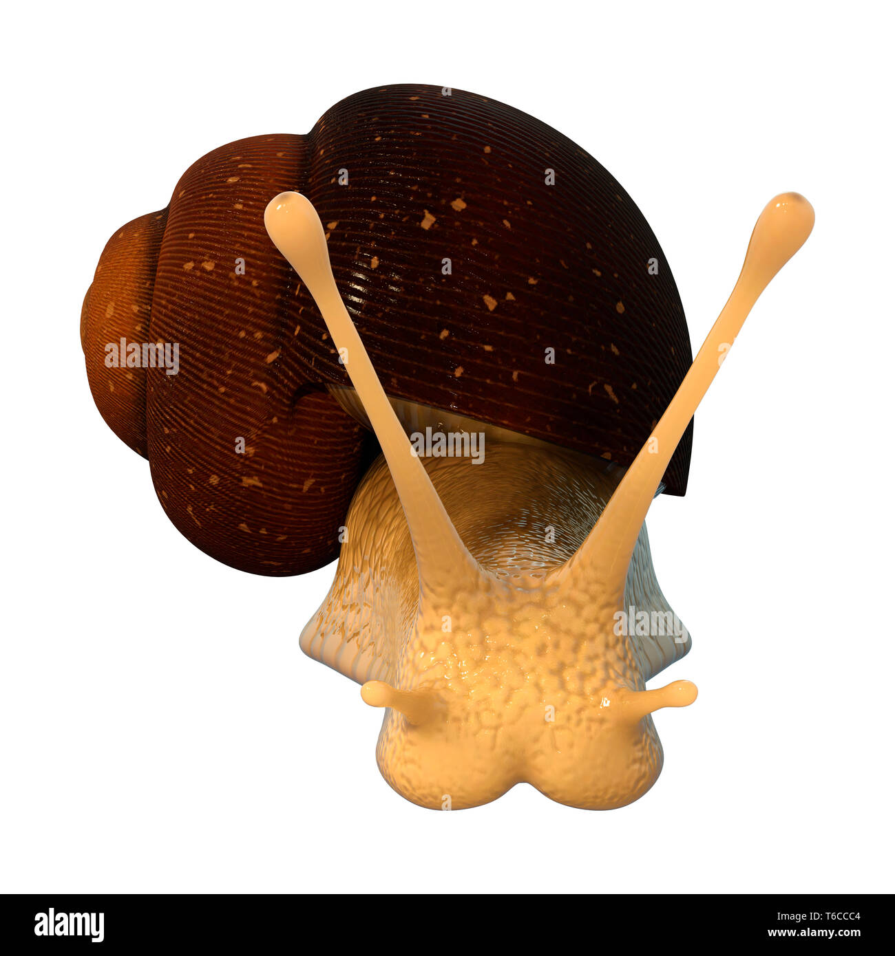3D rendering of a snail isolated on white background Stock Photo - Alamy