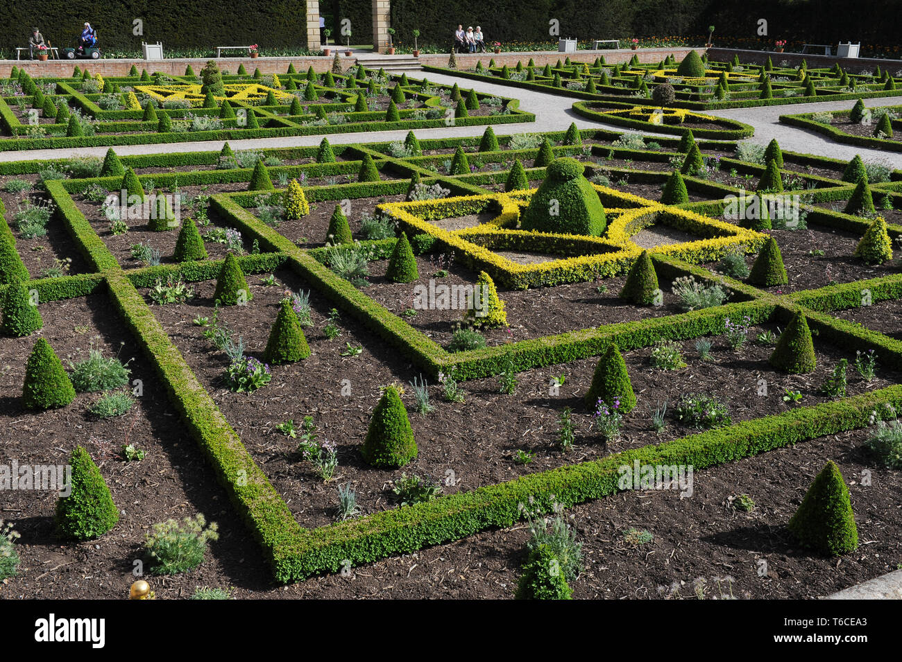 Knot Garden  England Uk Stock Photo