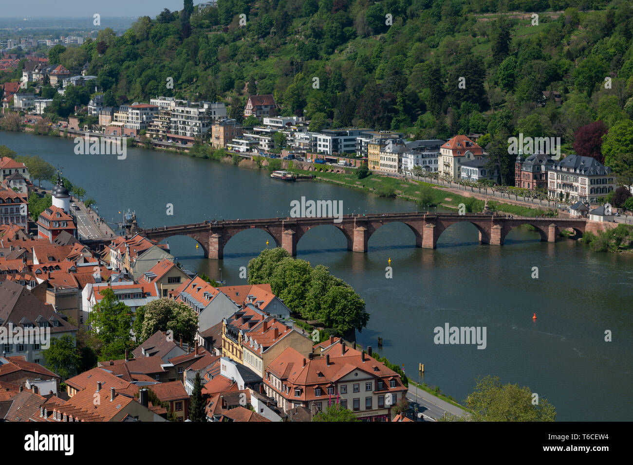 Travel, Germany, Badenwürttemberg, Heidelberg, Schlossgarten, April 30. View of the historic center, the Alte Brücke and the Neckar. Stock Photo