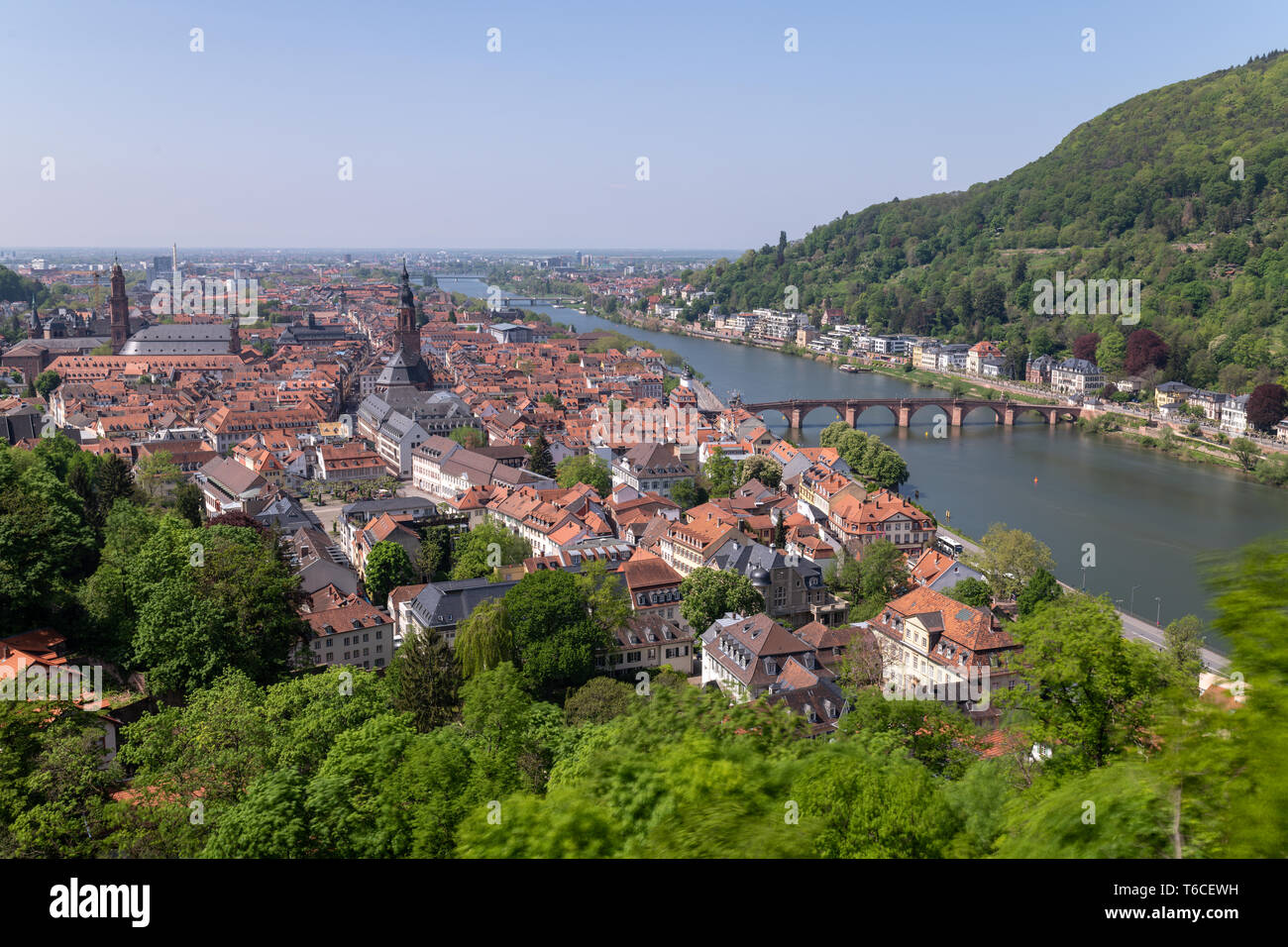 Travel, Germany, Badenwürttemberg, Heidelberg, Schlossgarten, April 30. View of the historic center and the Neckar.  You can see the Heiliggeist churc Stock Photo