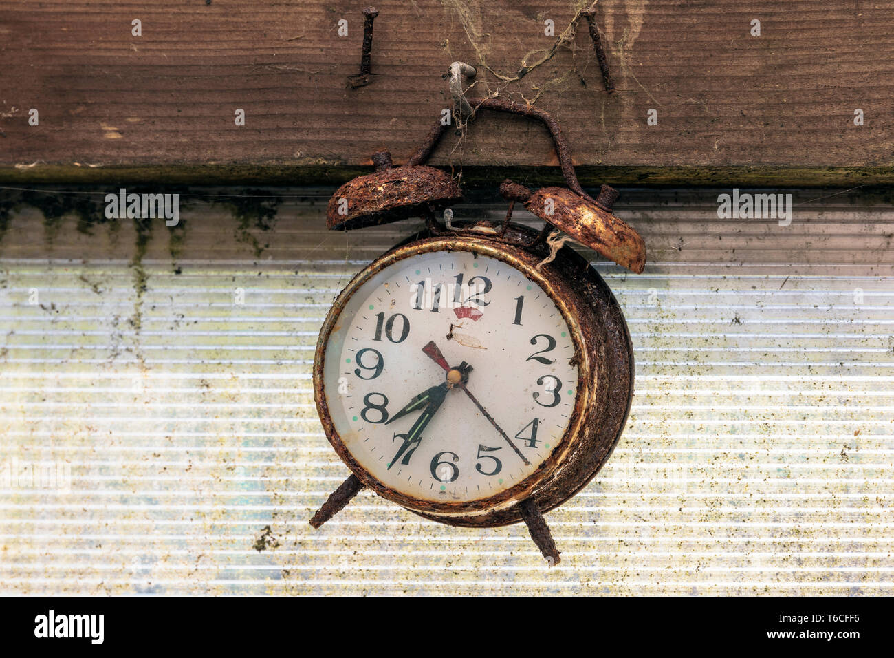 Old and rusty alarm clock, hanging by a nail in a shed, Kilwinning