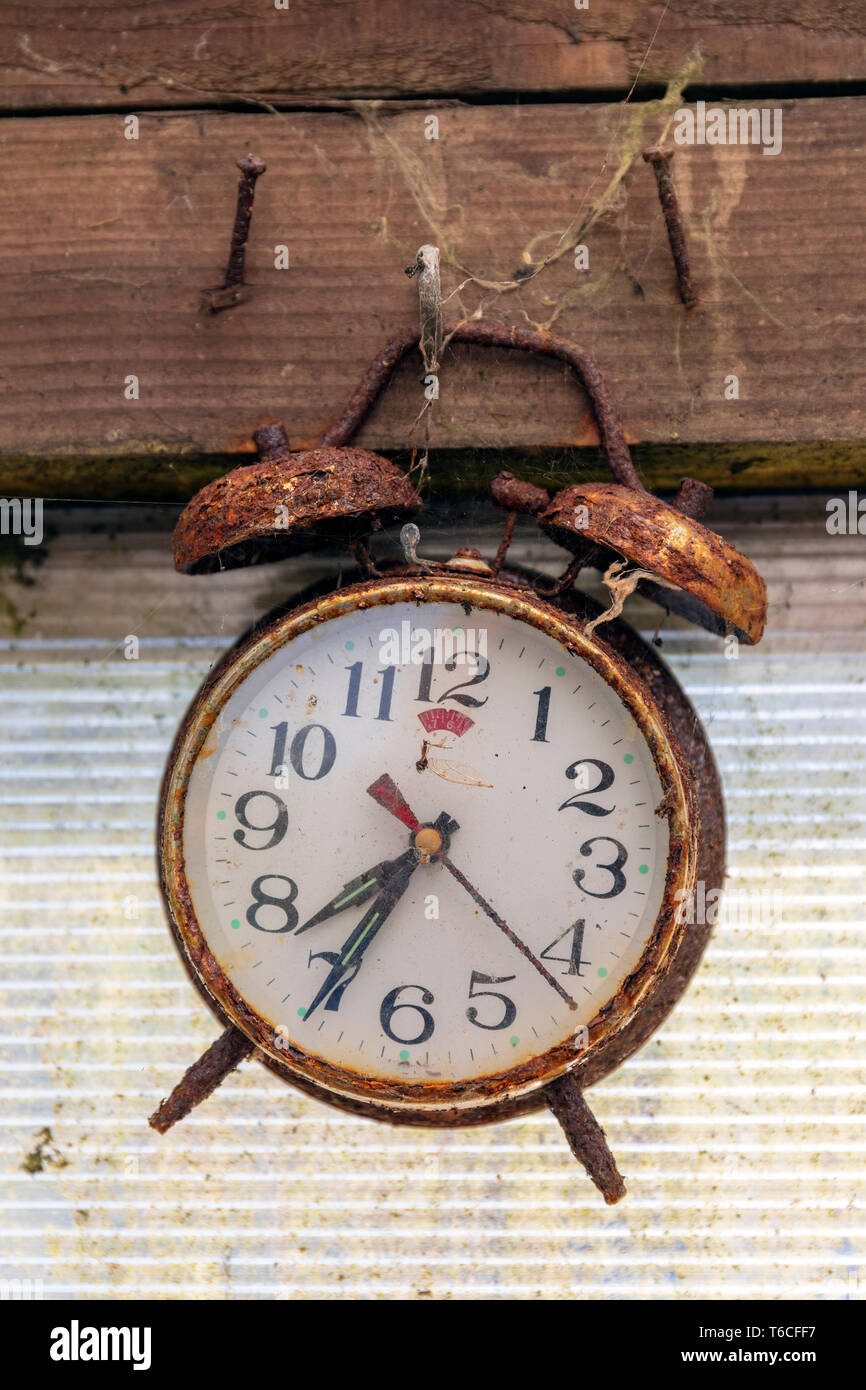 Old and rusty alarm clock, hanging by a nail in a shed, Kilwinning