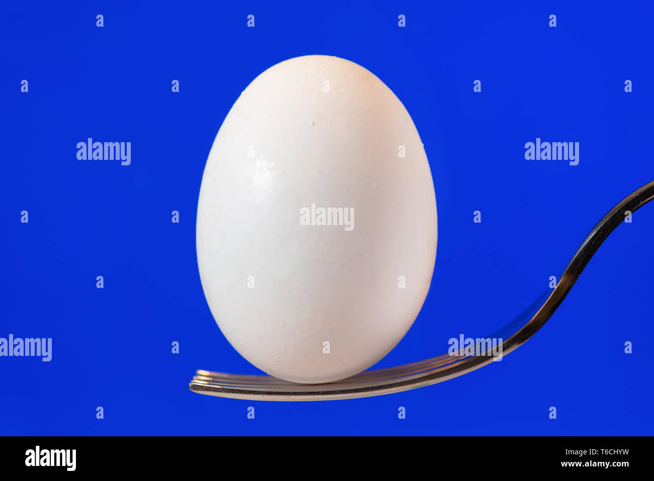 White Egg On Fork With Blue Display Background Stock Photo