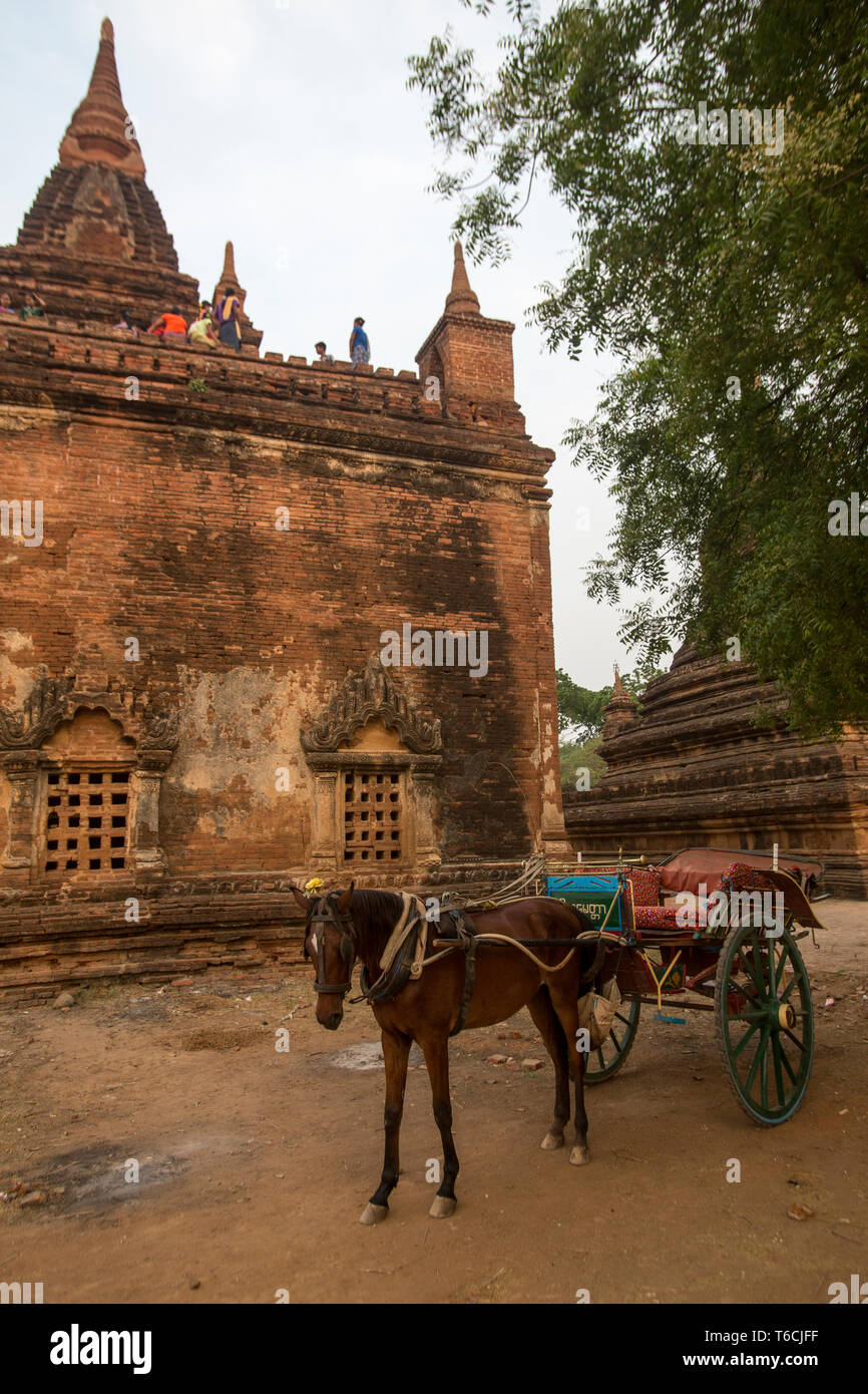 Horse and carriage outside an ancient Buddhist temple in the ancient city  of Bagan in Myanmar Stock Photo - Alamy