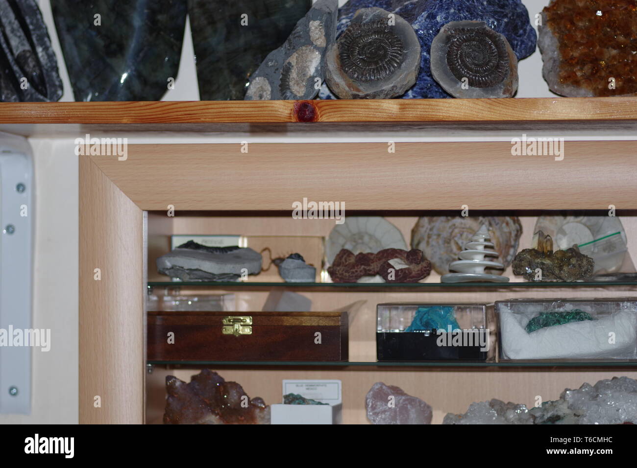 Geology Crystal and Fossil Collection in a Home Display Cabinet. Exeter,  Devon, UK Stock Photo - Alamy