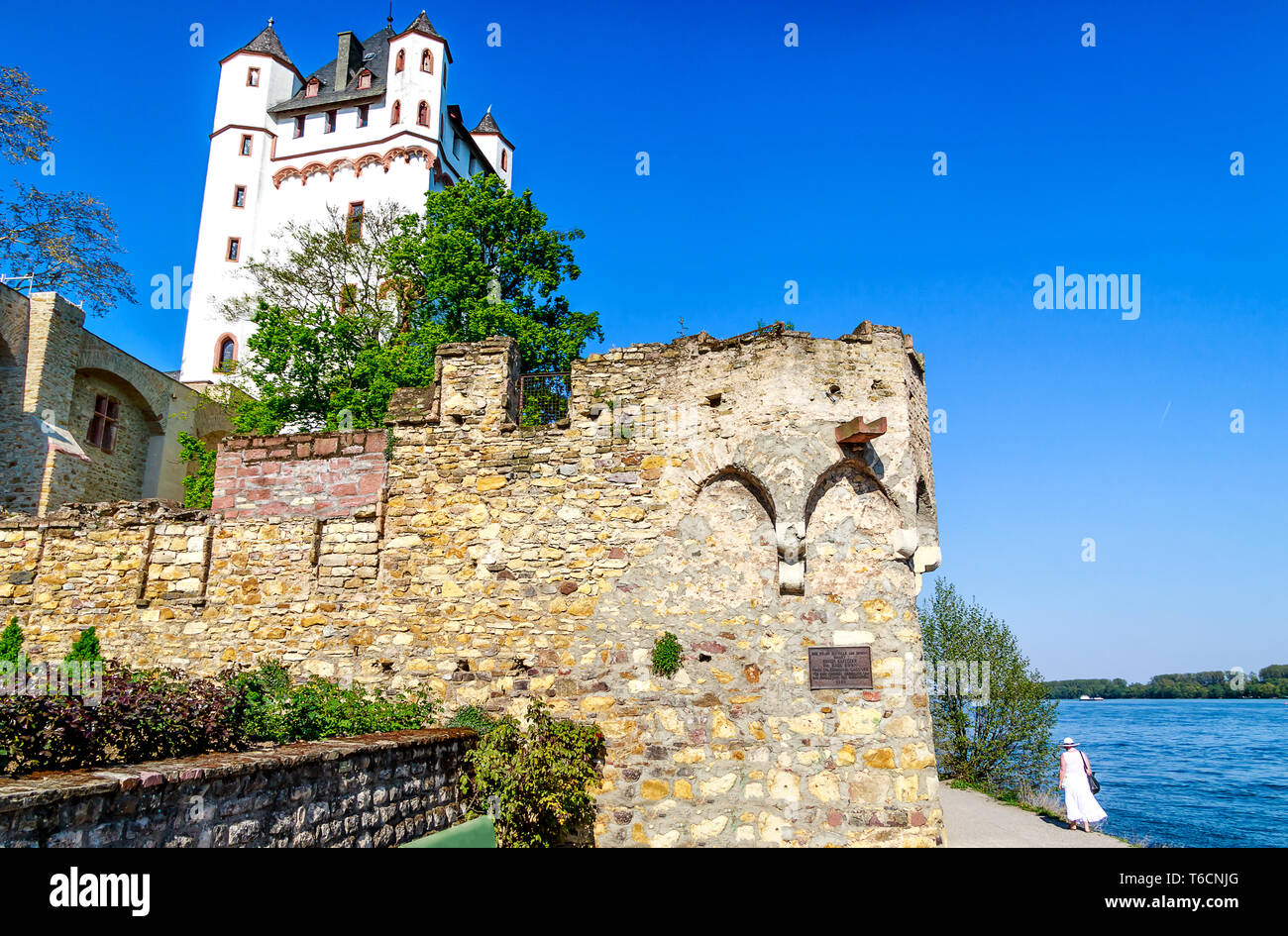 Electoral castle in Eltville in Rheingau, a district of the sparkling wine, wine and rose on the Rhine in the Rheingau-Taunus in Hesse, Germany Stock Photo