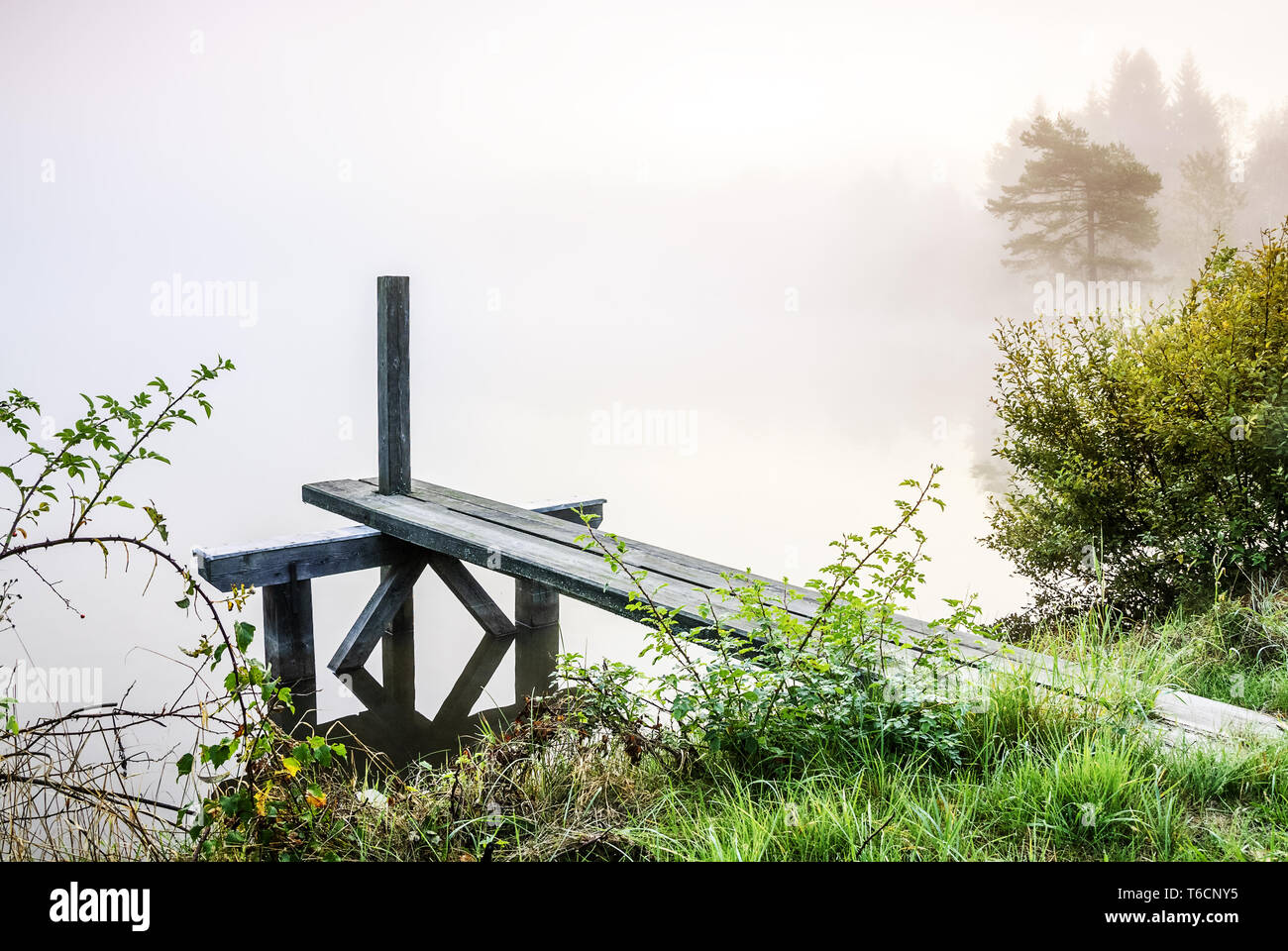 Footbridge at the lake with fog in the morning Stock Photo