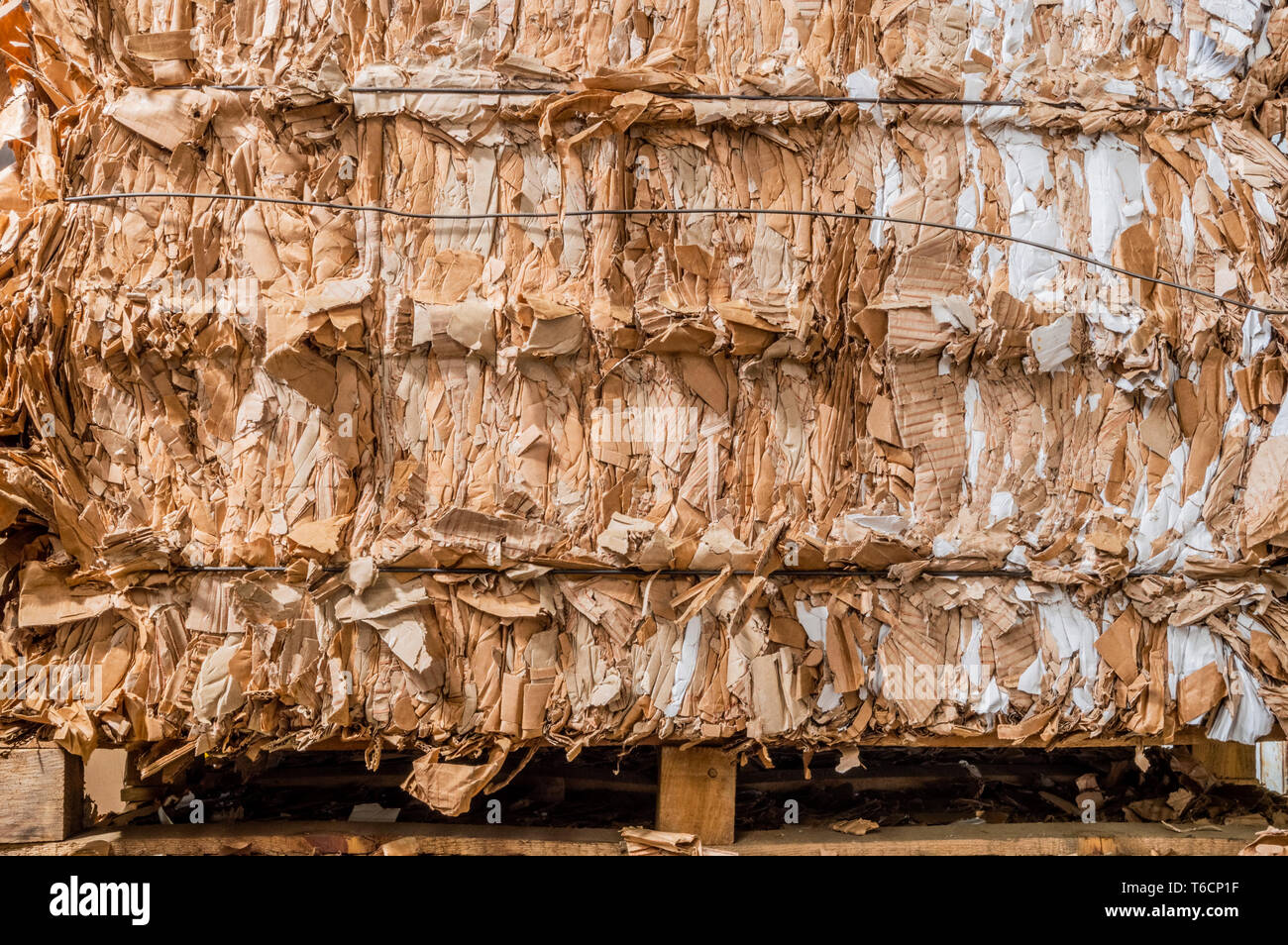 Stack of pressed corrugated cardboards ready for recycling Stock Photo