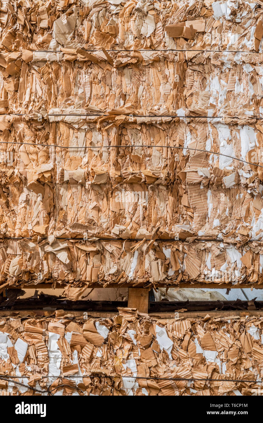 Stack of pressed corrugated cardboards ready for recycling Stock Photo