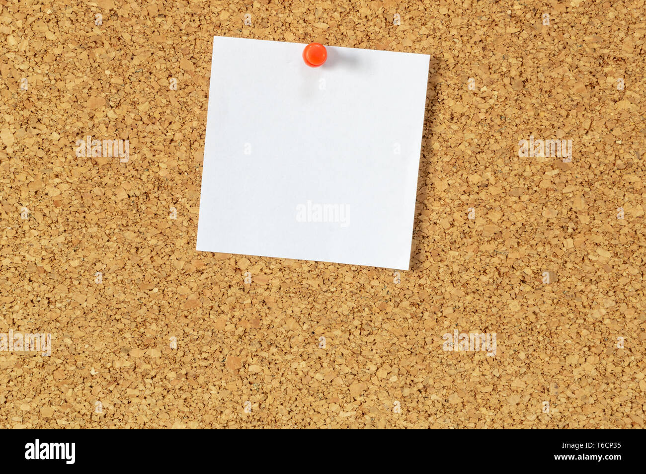 Cork board with pinned blank notepaper. Stock Photo