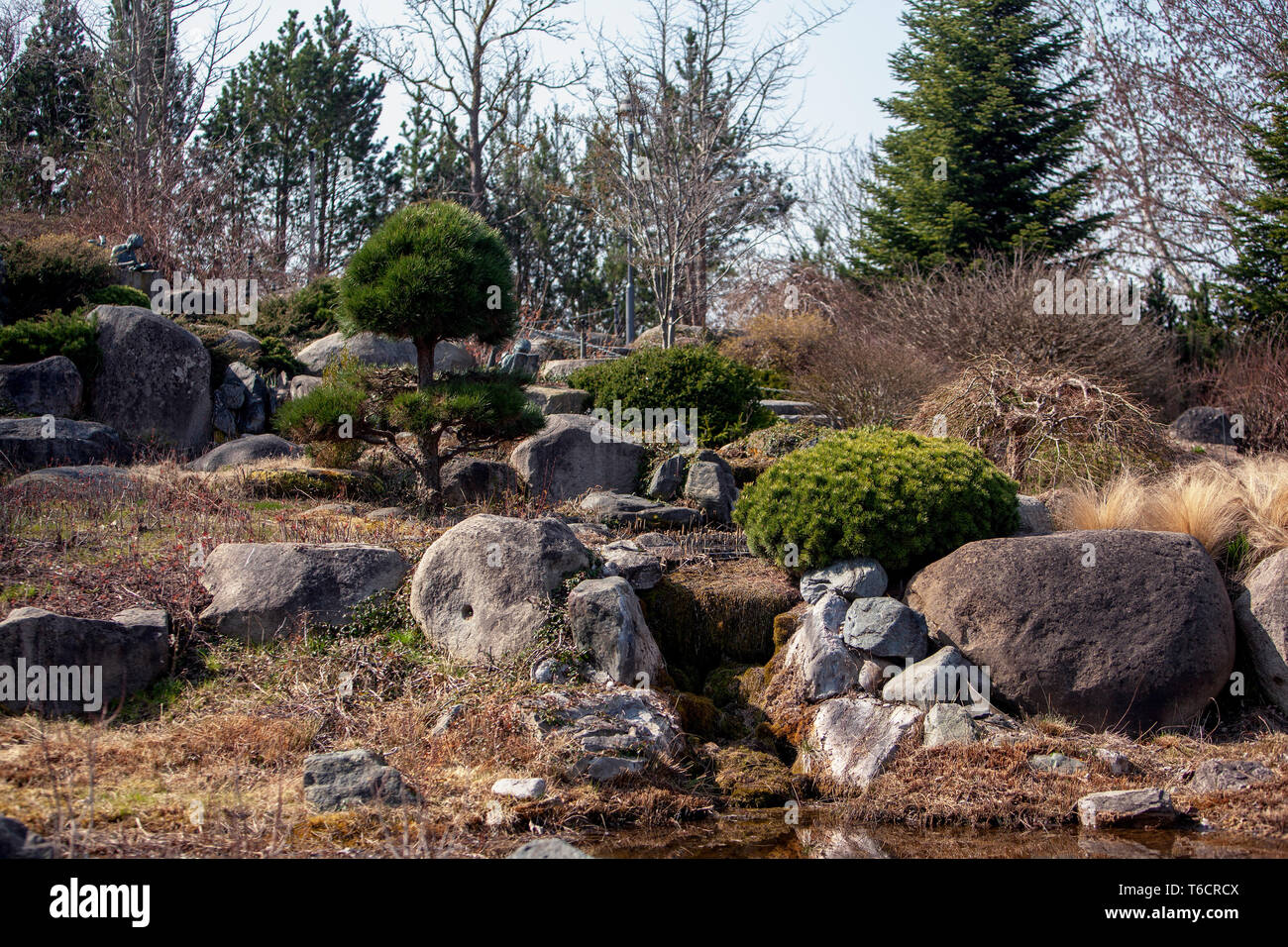 rock garden Stock Photo