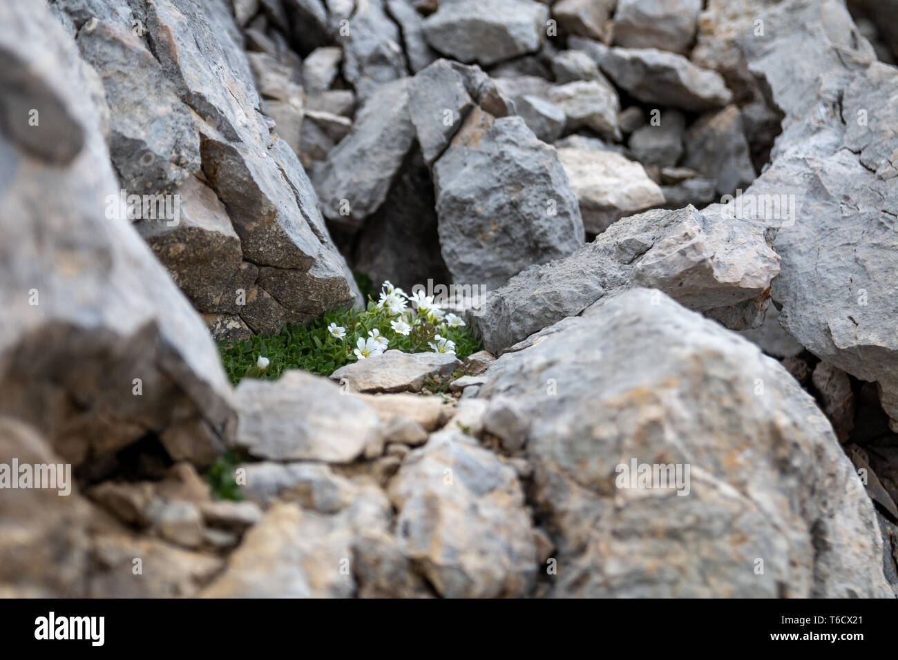 Among mountain rocks hi-res stock photography and images - Alamy