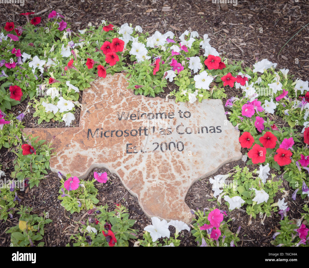 to Microsoft text on Texas map with flower decoration at office
