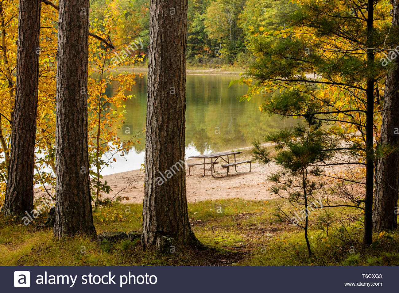 Autumn Colors In Vilas Park Lagoon >> Autumn Colors Reflect Off Firefly Lake Near Sayner Wisconsin In Autumn Colors In Vilas Park Lagoon >> Autumn Colors Reflect Off Firefly Lake Near Sayner Wisconsin In