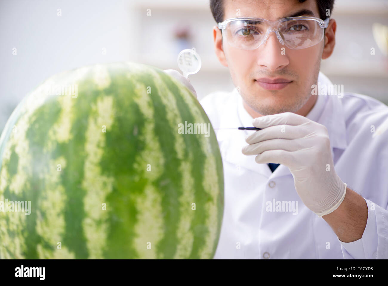 Watermelon Lab Dietitian in lab hi-res stock photography and images - Alamy