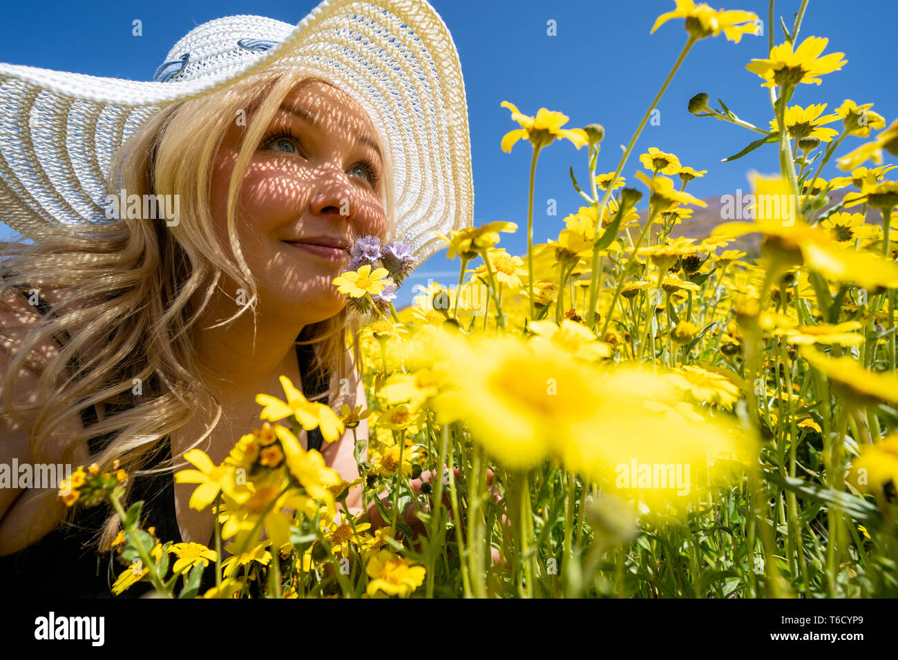 Blonde woman wearing straw white hat smelling a field of yellow wildflowers. Concept for springtime allergy relief Stock Photo