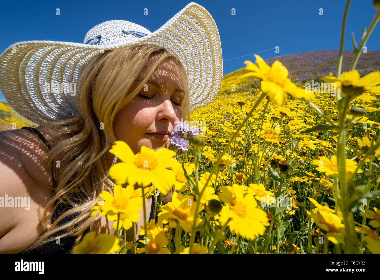 Blonde woman wearing straw white hat smelling a field of yellow wildflowers. Concept for springtime allergy relief Stock Photo