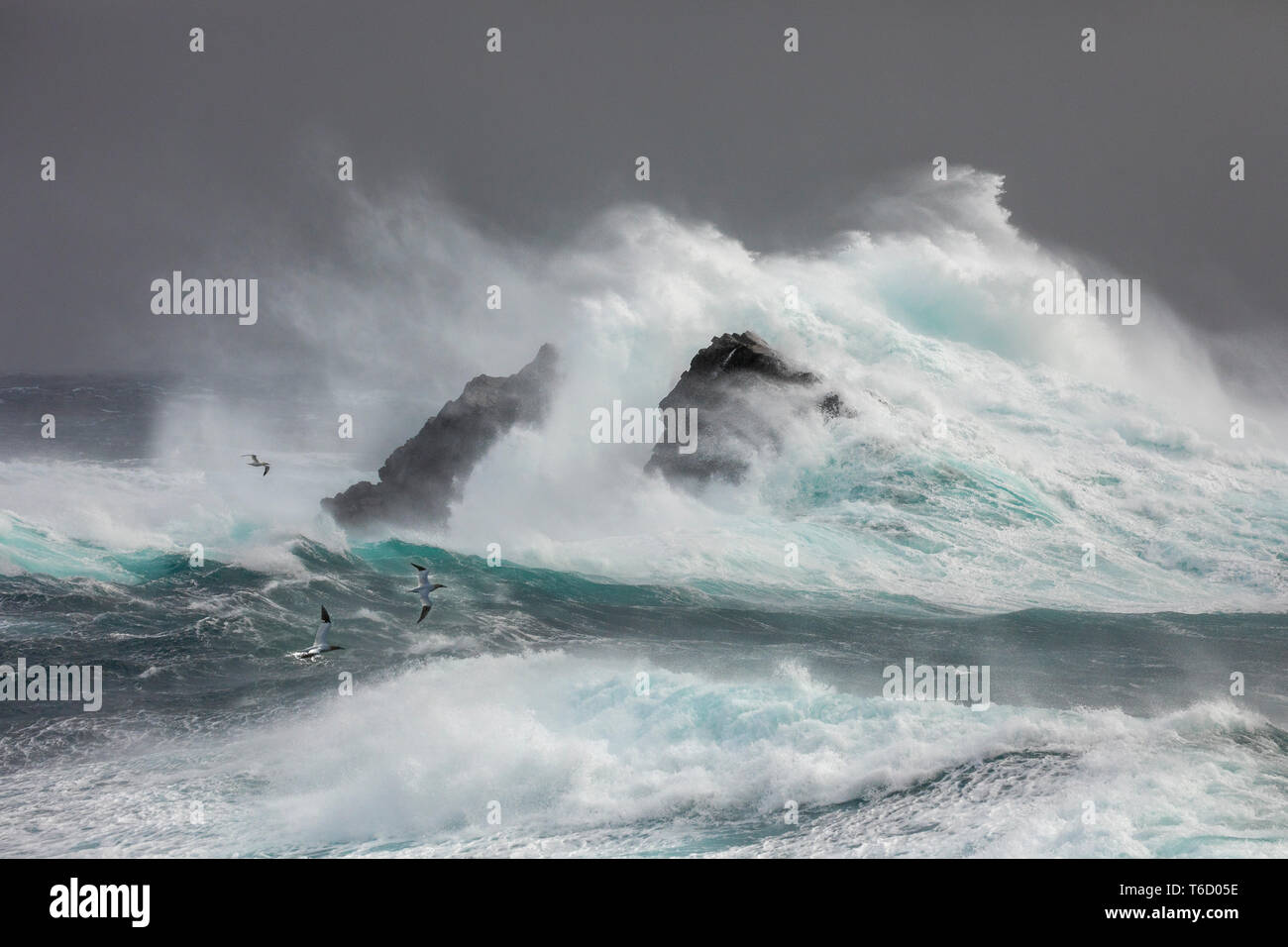 Stormy Sea; Fair Isle; Shetland; UK Stock Photo