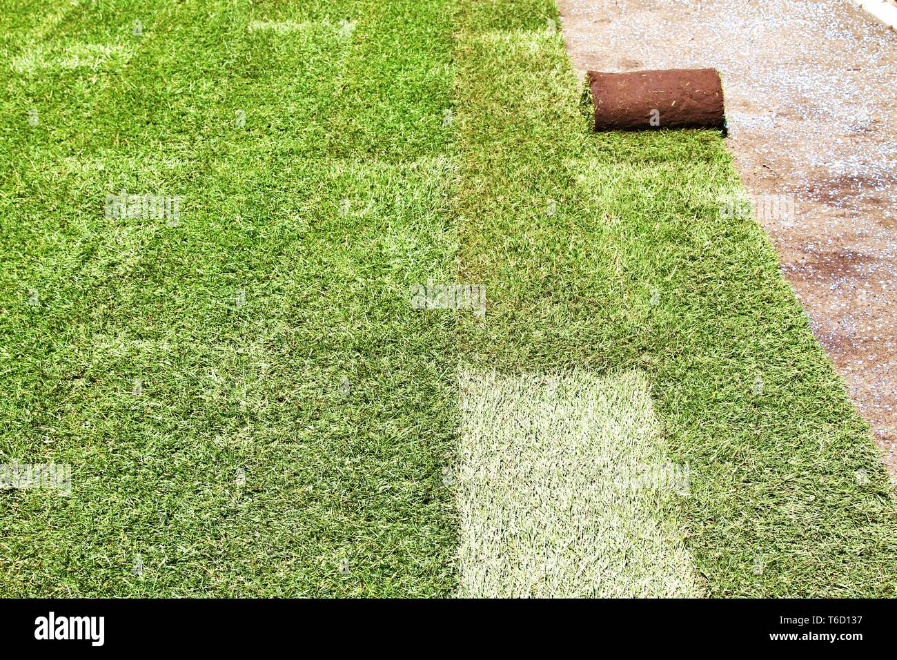 prepared ground for turf in the garden Stock Photo Alamy