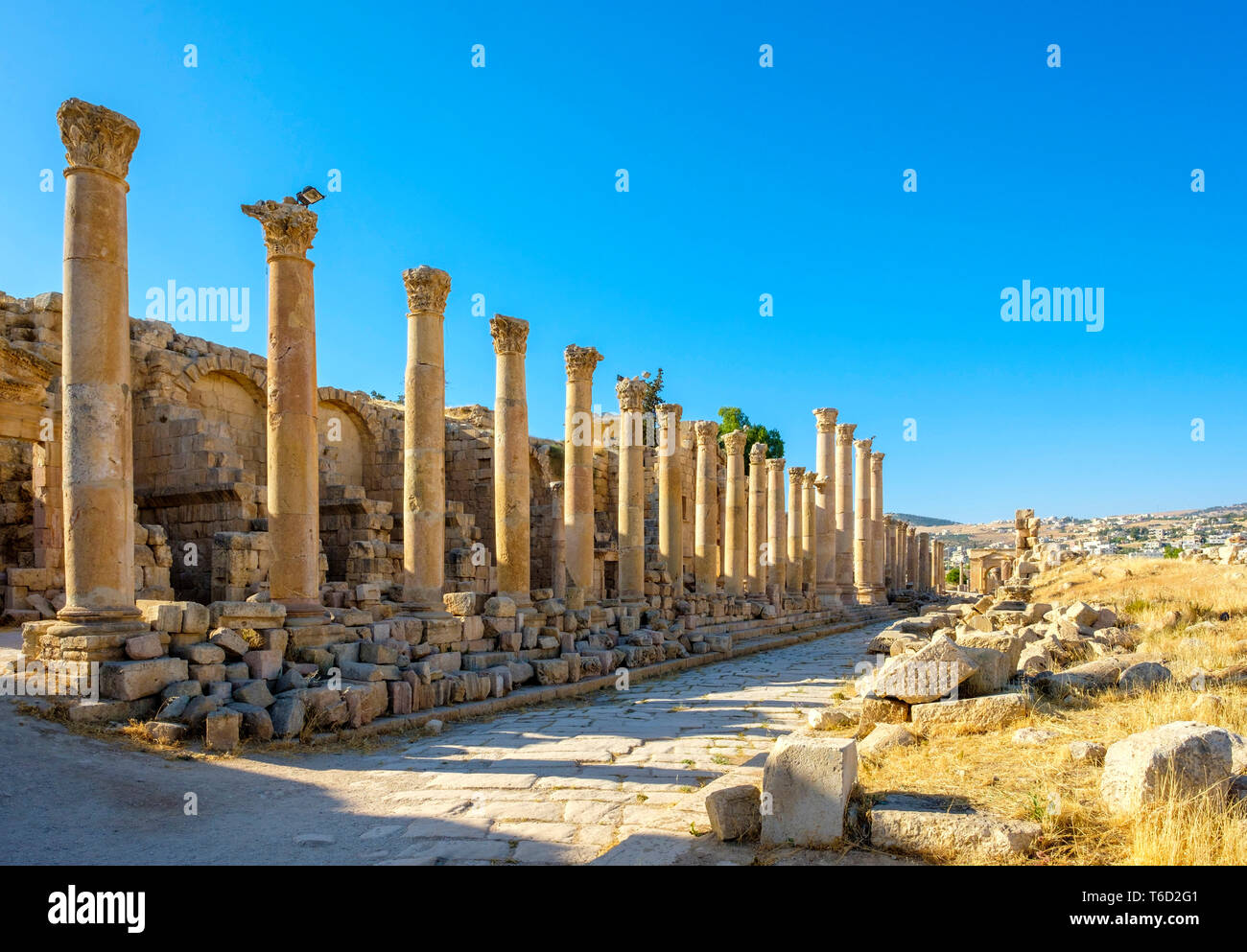 Jordan, Jerash Governorate, Jerash. Colonnaded street (cardo maximus) in the ancient Roman city of Gerasa. Stock Photo
